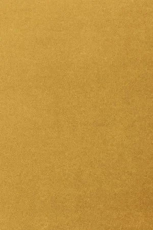 Ковровое покрытие AW Oinone 54 - (5м) в Миассе