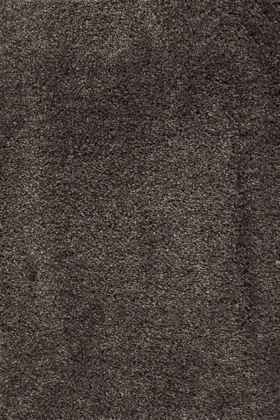 Ковровое покрытие AW Fedone 44 - (5м) в Миассе