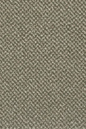 Ковровое покрытие AW Stainaway Tweed 24 - (4м) в Миассе