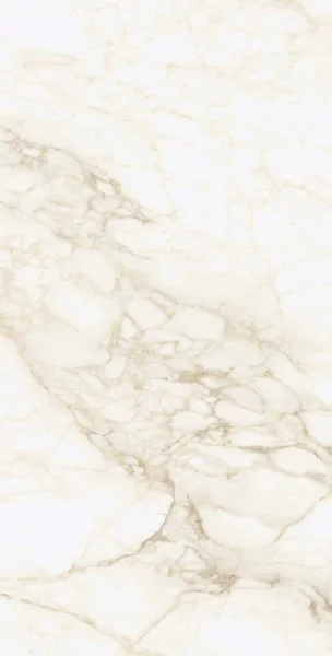 Керамогранит Coliseum Микеланджело Ворм 60х120 (Натуральный и Реттифицированный) в Миассе