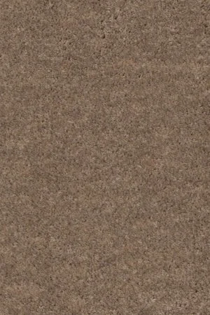 Ковровое покрытие AW Euphoria 36 - (4м) в Миассе