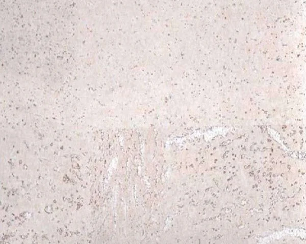 Настенное пробковое покрытие CorkArt PW 386 WS в Миассе