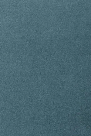 Ковровое покрытие AW Oinone 74 - (5м) в Миассе