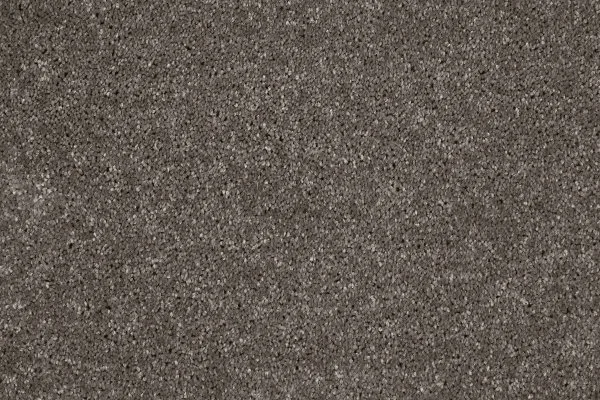 Ковровое покрытие AW Gala 49 - (4м) в Миассе