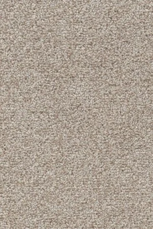 Ковровое покрытие AW Stainguard Harvest 04 - (4м) в Миассе