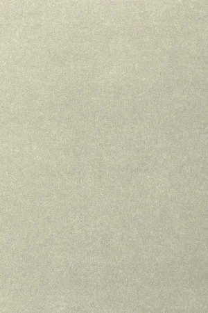 Ковровое покрытие AW Oinone 02 - (4м) в Миассе