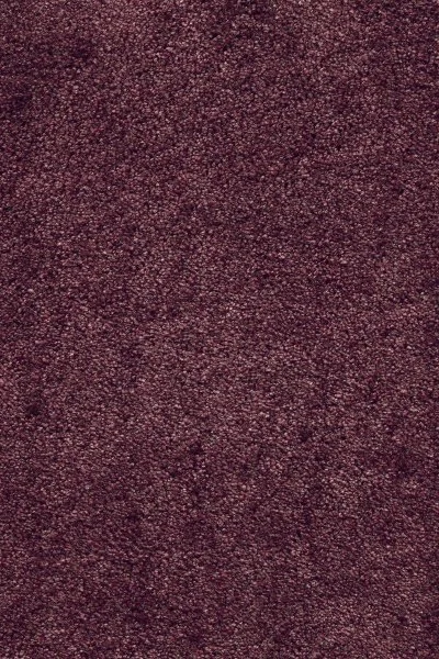 Ковровое покрытие AW Fedone 19 - (5м) в Миассе