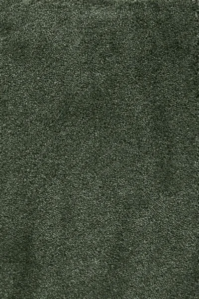 Ковровое покрытие AW Fedone 24 - (5м) в Миассе