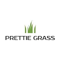 Искусственная трава Prettie Grass купить в Миассе по выгодной цене Искусственная трава Prettie Grass в Миассе