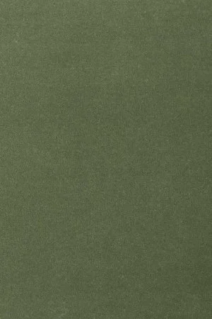 Ковровое покрытие AW Oinone 24 - (5м) в Миассе