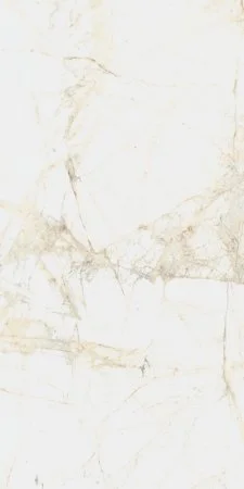 Керамогранит Coliseum Канова Уайт 60х120 (Натуральный и Реттифицированный) в Миассе